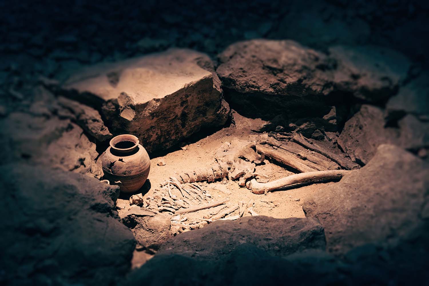 archaeolical dig