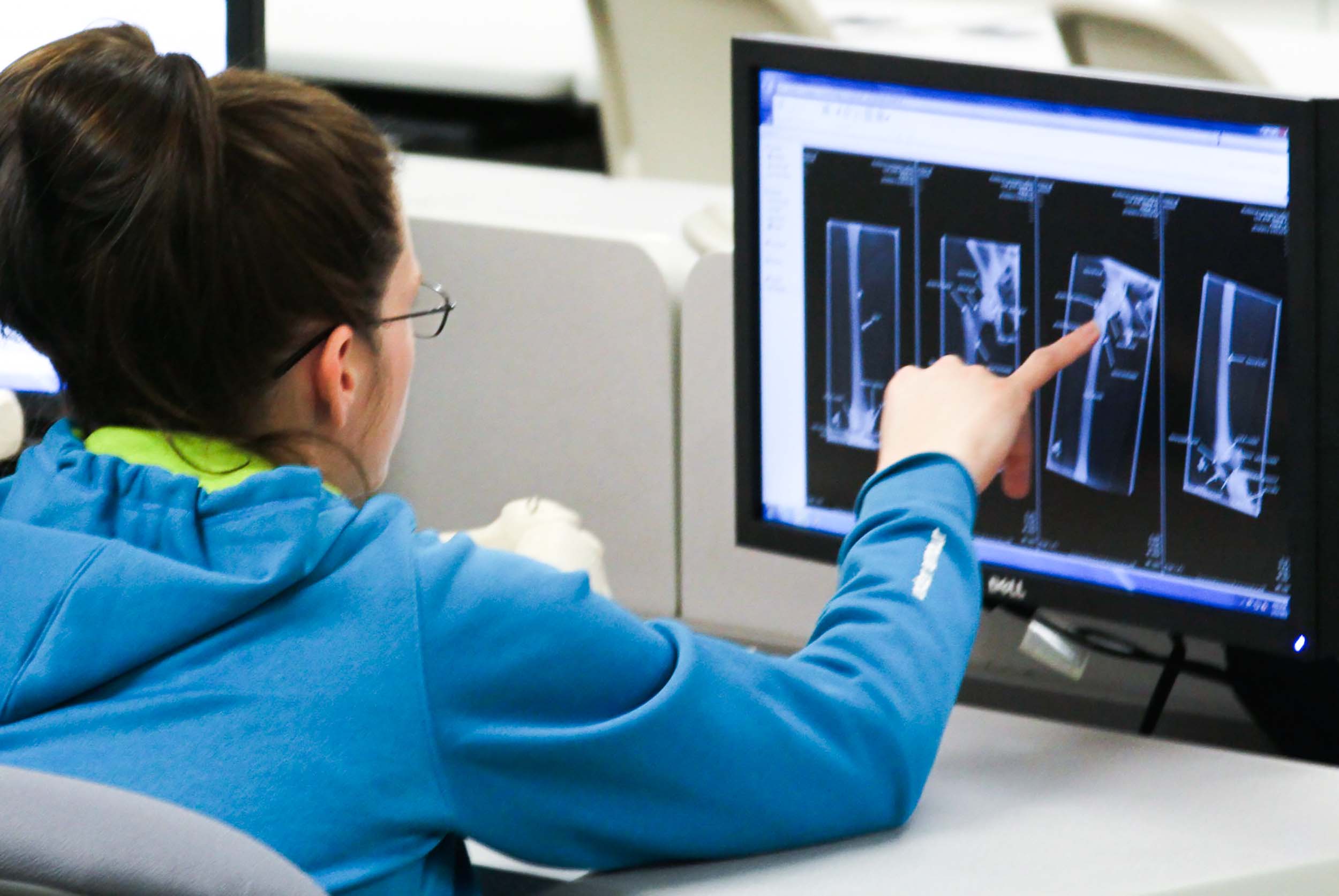 people looking at xray